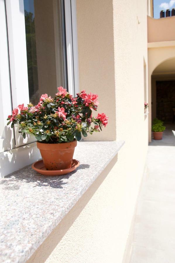 Viveniti Apartment